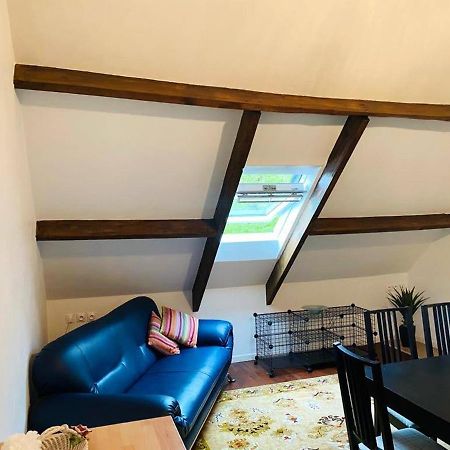 Appartement Charmant Orgnac-Sur-Vezere Avec Jardin Et Parking エクステリア 写真