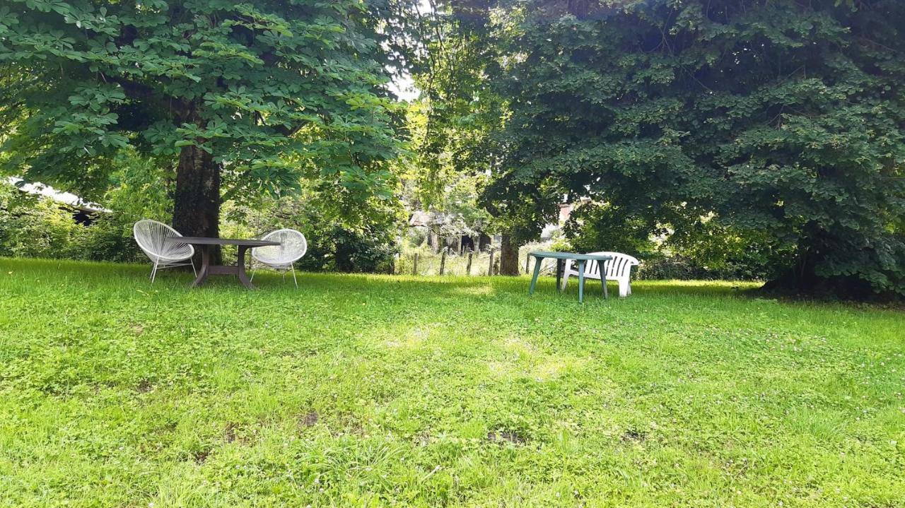 Appartement Charmant Orgnac-Sur-Vezere Avec Jardin Et Parking エクステリア 写真