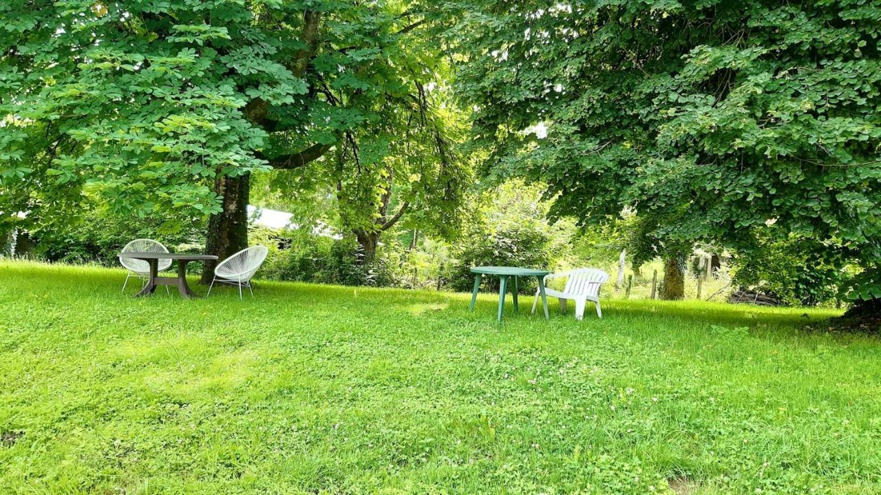 Appartement Charmant Orgnac-Sur-Vezere Avec Jardin Et Parking エクステリア 写真