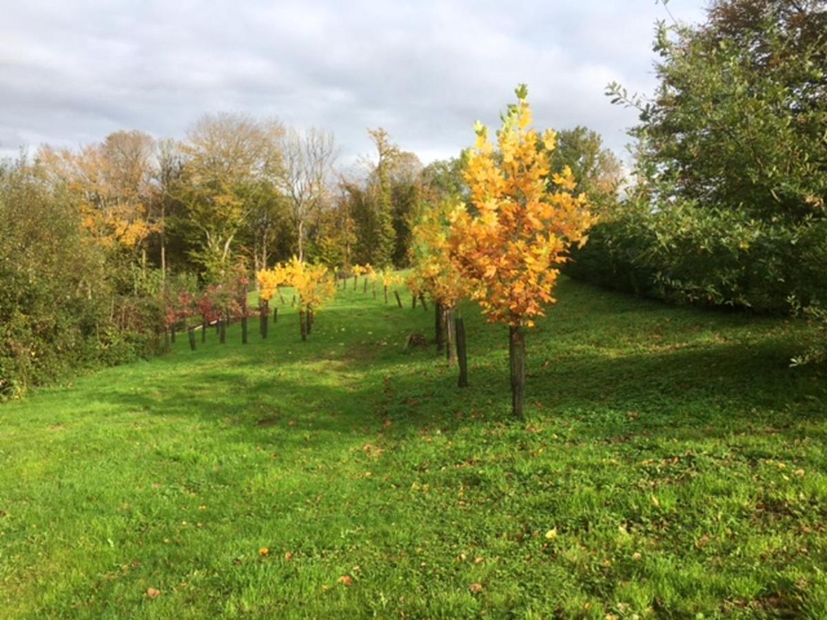 Appartement Charmant Orgnac-Sur-Vezere Avec Jardin Et Parking エクステリア 写真
